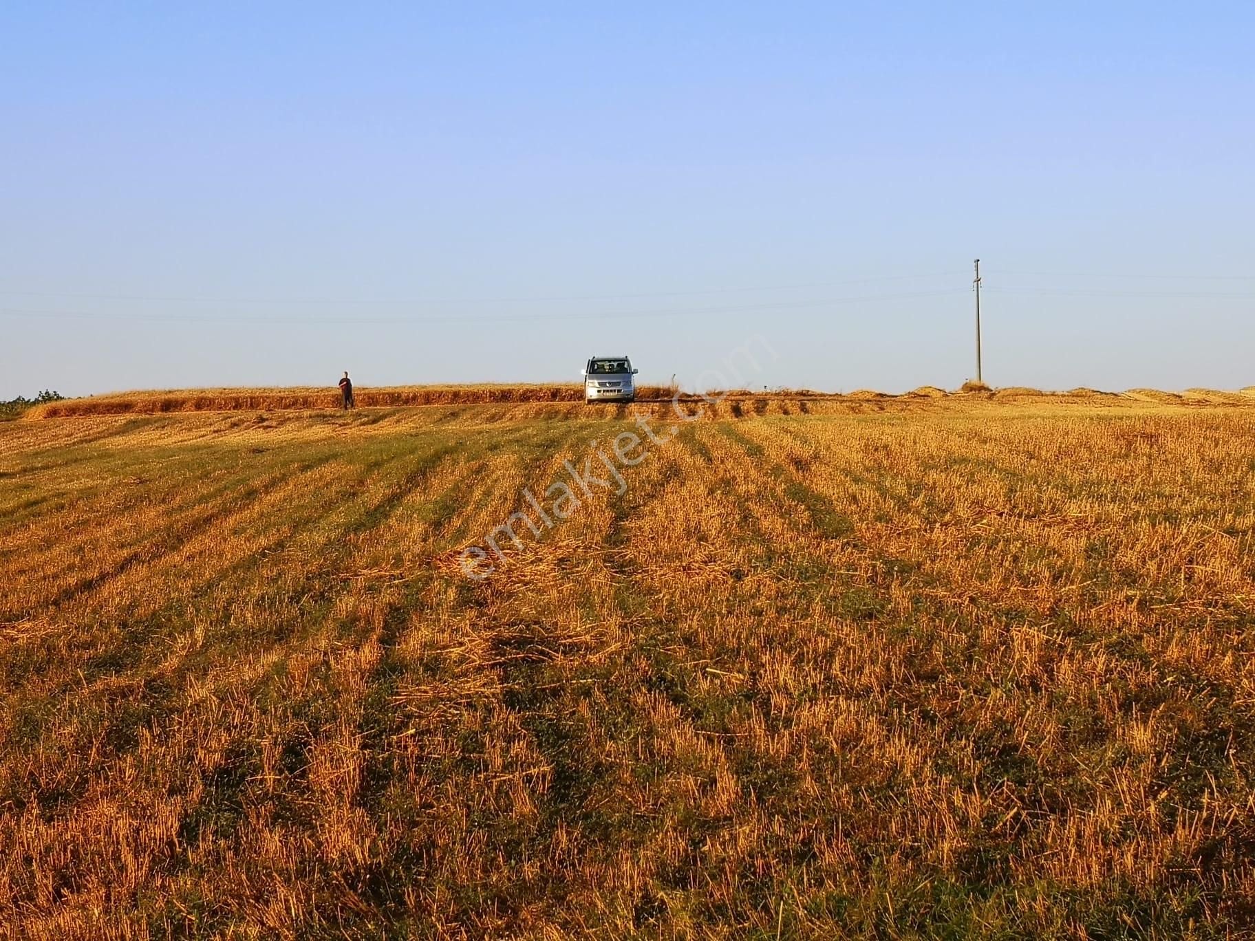 Kamiloba'da 4375 M2 Deniz Manzaralı Geleceği Parlak Arsa - Görsel 8