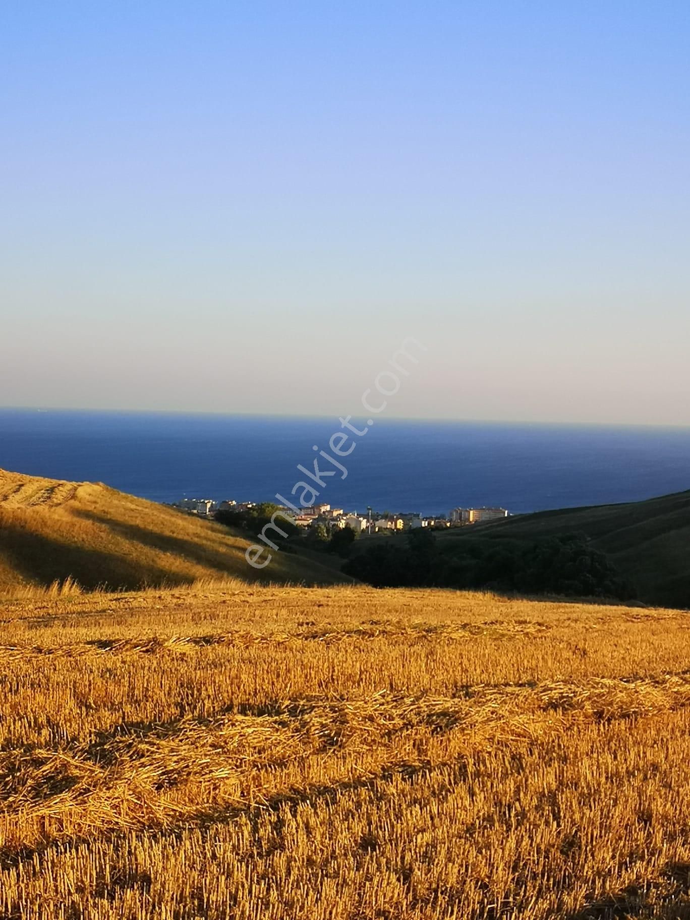 Kamiloba'da 4375 M2 Deniz Manzaralı Geleceği Parlak Arsa - Görsel 3