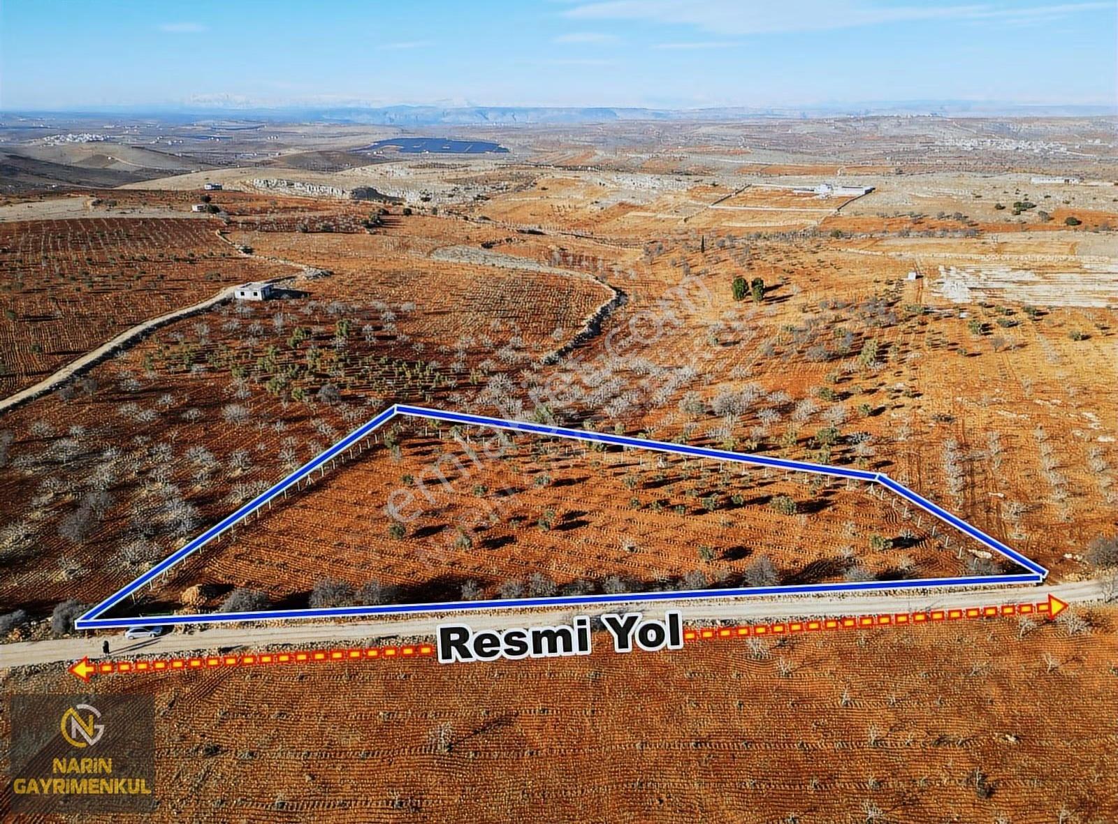 Şehitkamil Bilek Tel Çit, Zeytin Fıstık Meyve, Resmi Yol Manzara - Görsel 5