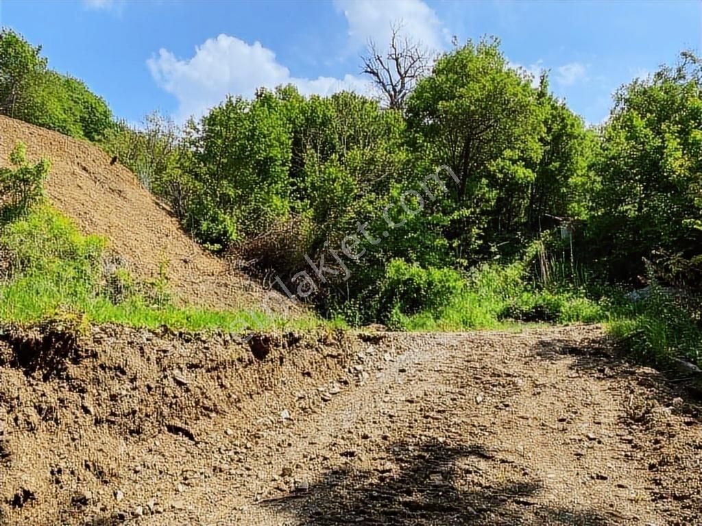 Uludağ Bağlı Köyü'de 268 M2 Bahçe - Görsel 8