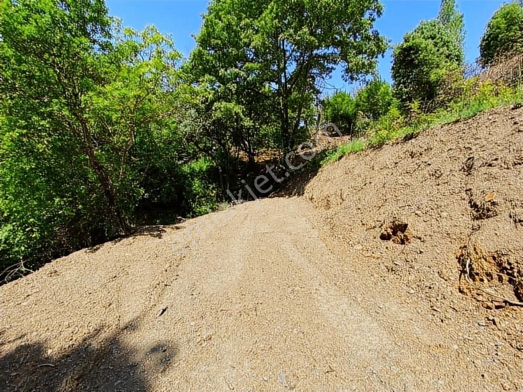 Uludağ Bağlı Köyü'de 268 M2 Bahçe - Görsel 16