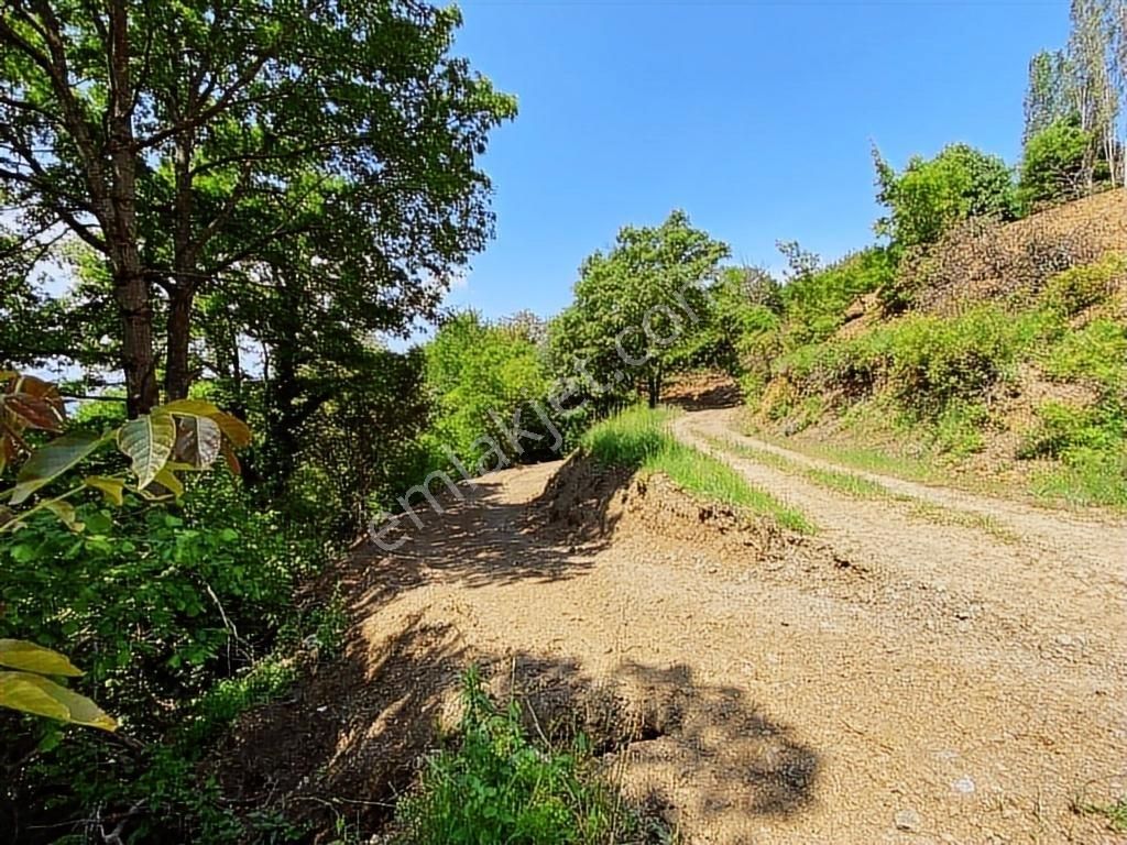 Uludağ Bağlı Köyü'de 268 M2 Bahçe - Görsel 17