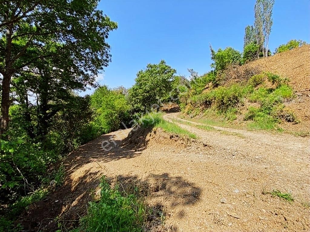 Uludağ Bağlı Köyü'de 268 M2 Bahçe - Görsel 14