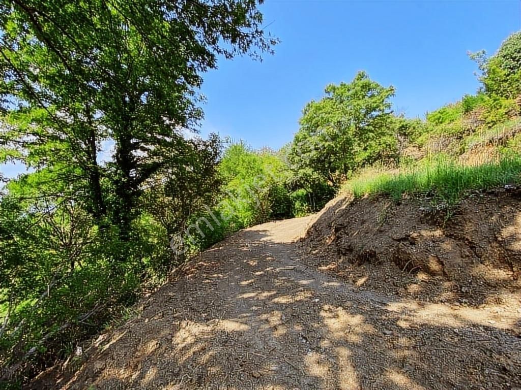 Uludağ Bağlı Köyü'de 268 M2 Bahçe - Görsel 7