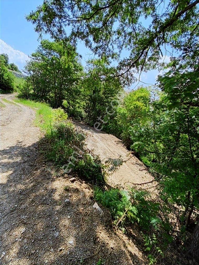 Uludağ Bağlı Köyü'de 268 M2 Bahçe - Görsel 11