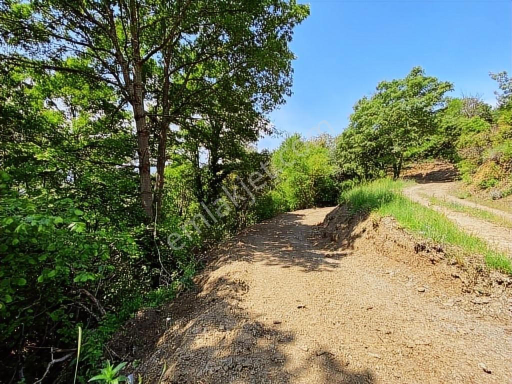 Uludağ Bağlı Köyü'de 268 M2 Bahçe - Görsel 12