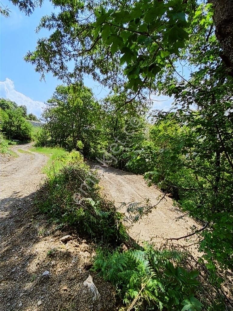 Uludağ Bağlı Köyü'de 268 M2 Bahçe - Görsel 2