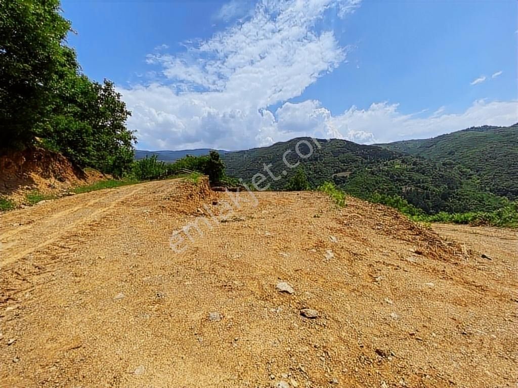 Kapital'den Uludağ Kirazlı Köyün'de 180 M2 Bahçe - Görsel 10