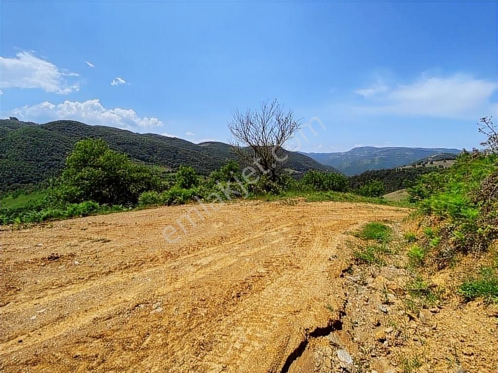 Kapital'den Uludağ Kirazlı Köyün'de 180 M2 Bahçe - Görsel 13