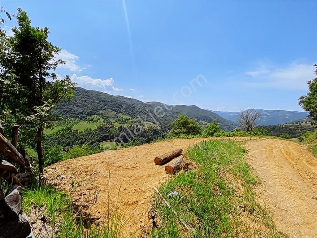 Kapital'den Uludağ Kirazlı Köyün'de 180 M2 Bahçe - Görsel 11