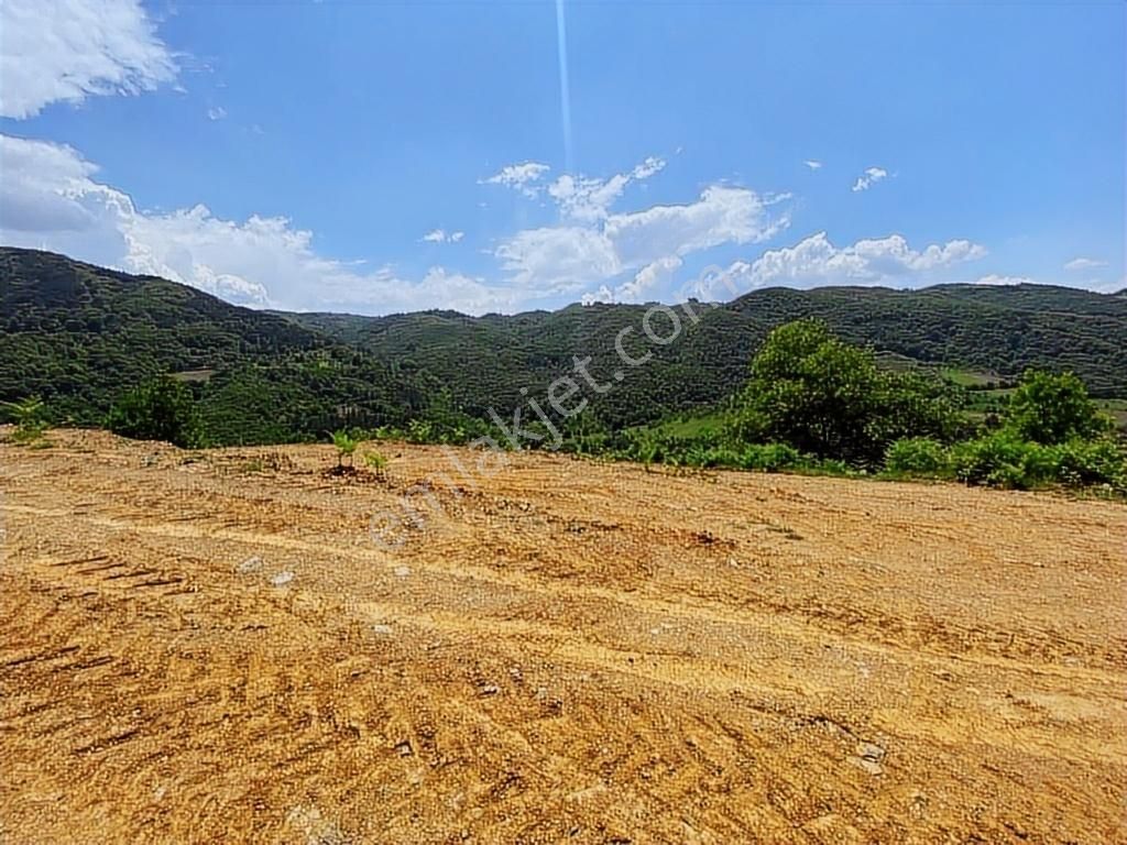 Kapital'den Uludağ Kirazlı Köyün'de 180 M2 Bahçe - Görsel 8