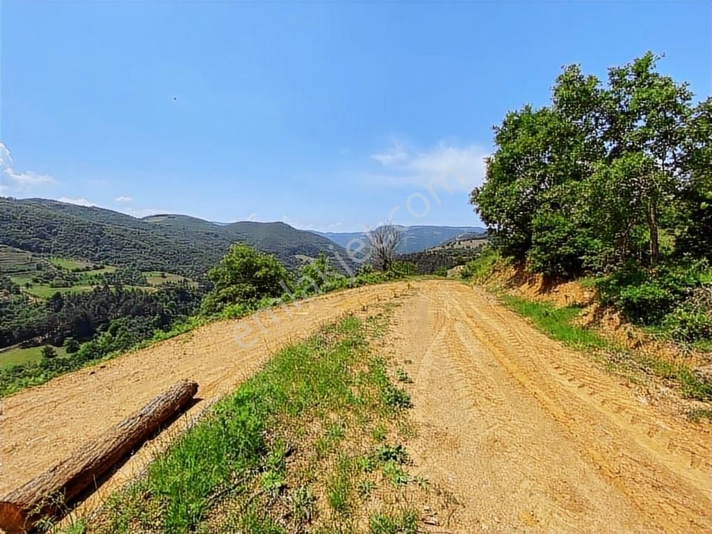 Kapital'den Uludağ Kirazlı Köyün'de 180 M2 Bahçe - Görsel 2