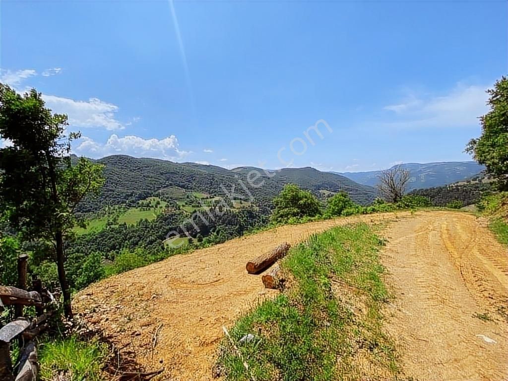 Kapital'den Uludağ Kirazlı Köyün'de 180 M2 Bahçe