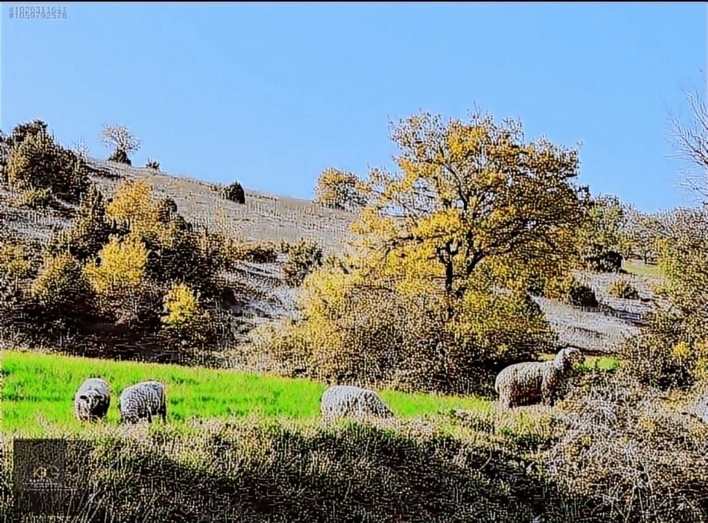 Yenişehir Kozdere'de İki Parsel Toplam 25.600 M2 Satılık Tarla