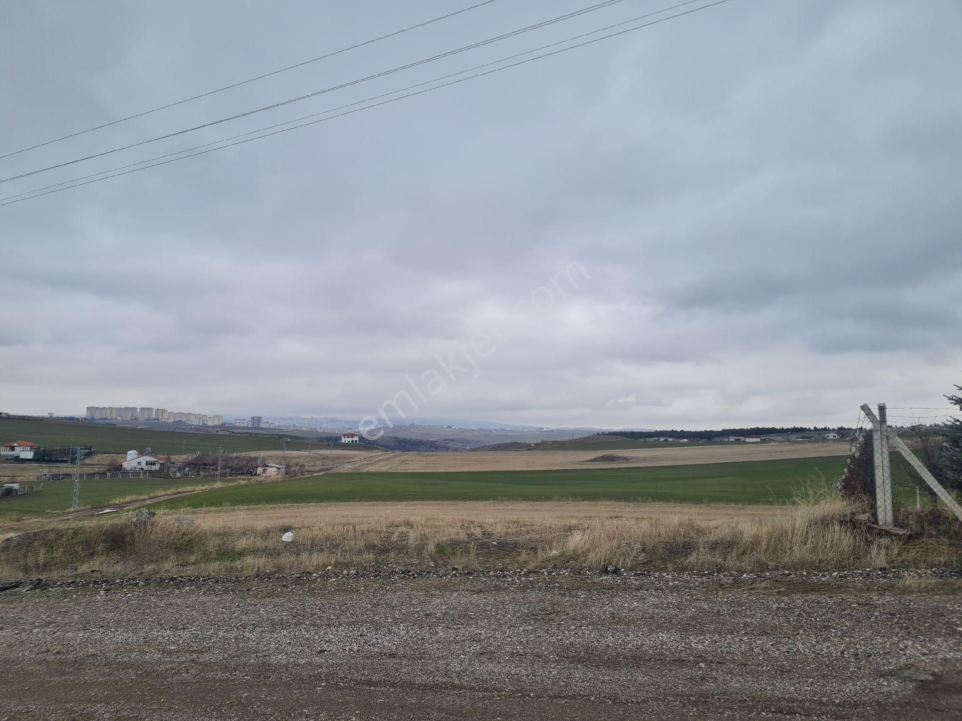 Gicikte 150metre İmarlı Hisse - Görsel 9