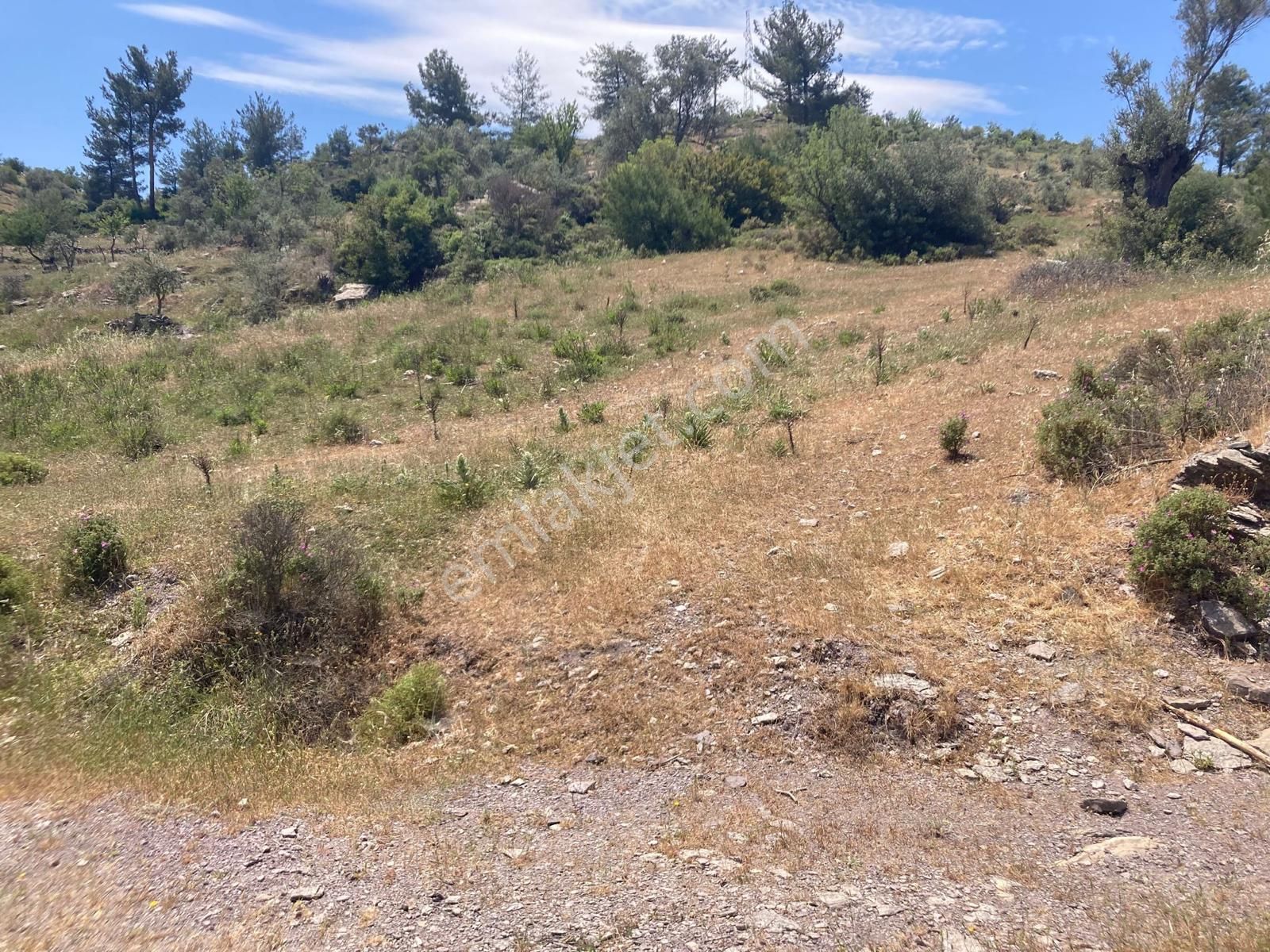 Muğla Bodrum Satılık Kelepir Tarla - Görsel 4