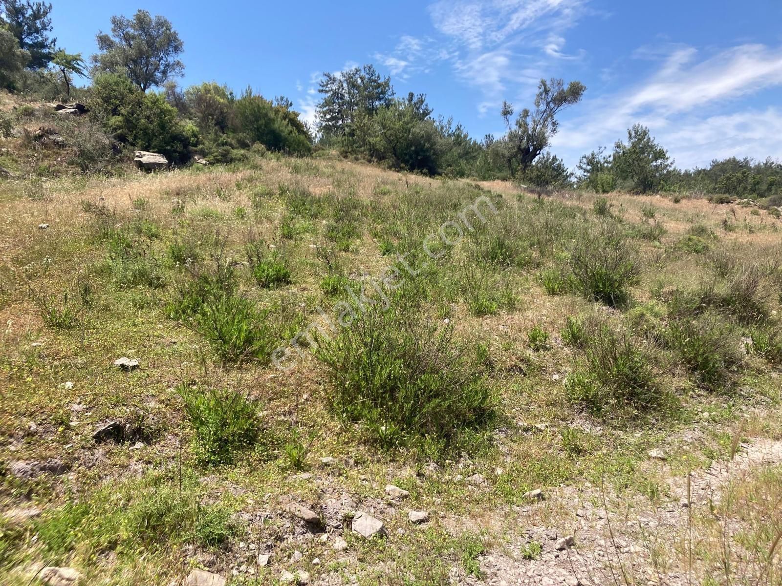 Muğla Bodrum Satılık Kelepir Tarla - Görsel 2