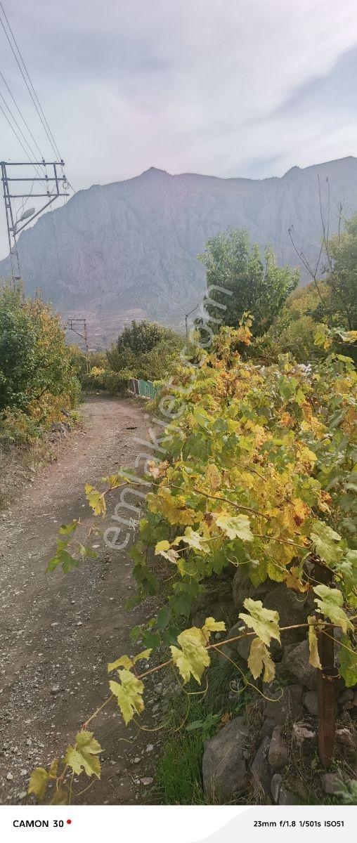 Onur Emlak İnşaat 'tan Amasya Ziyaret ' Te E Satılık Bahçe - Görsel 22