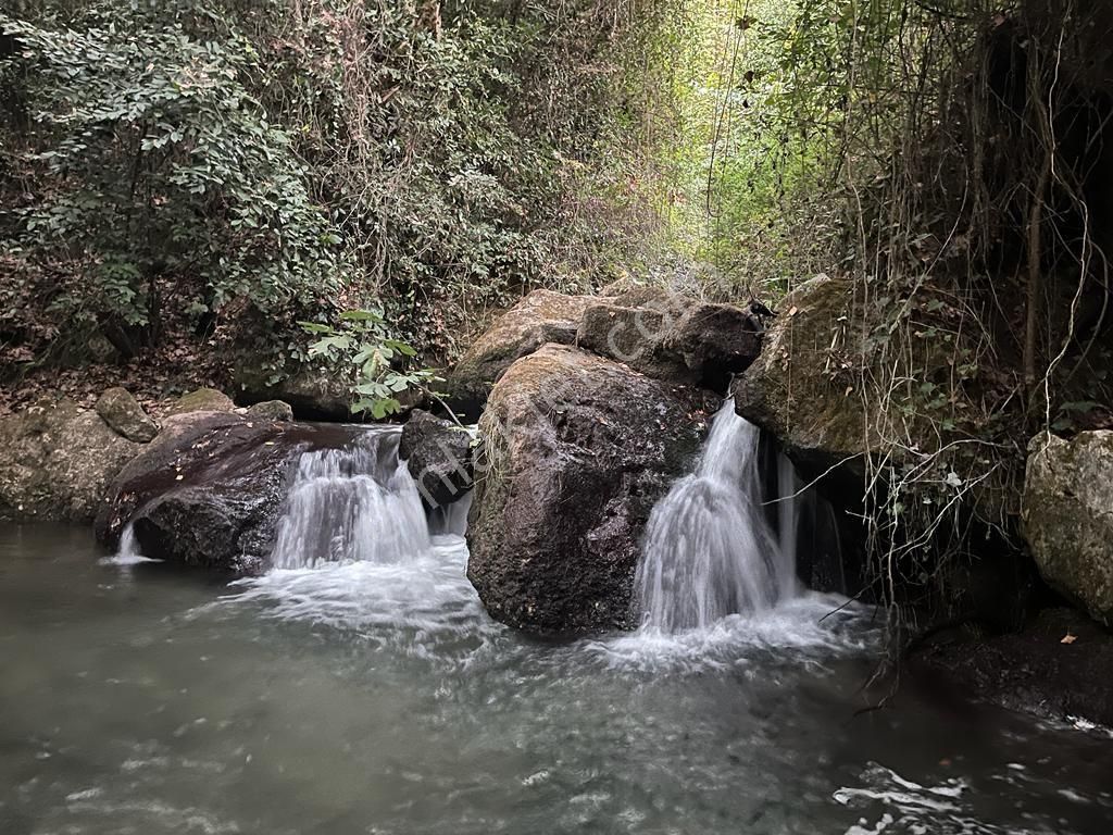 Tlos Antik Kent De 4 Daire,2 Tas Ev,3 Dome,havuz Ve Genis Bahceli Ciftlik Evi Satilikdir. - Görsel 12