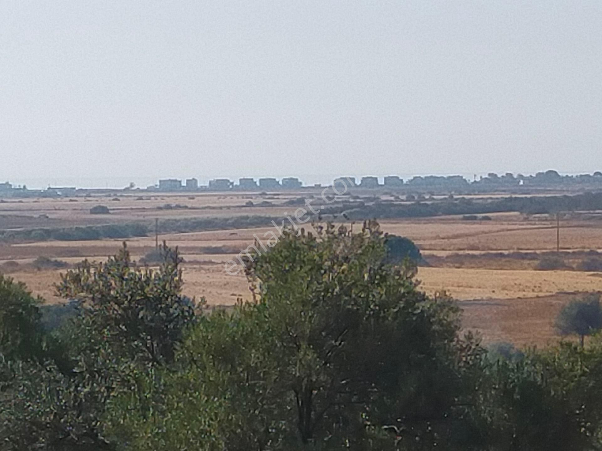 Ayvalık Küçükköy Fırsat Arsa - Görsel 6