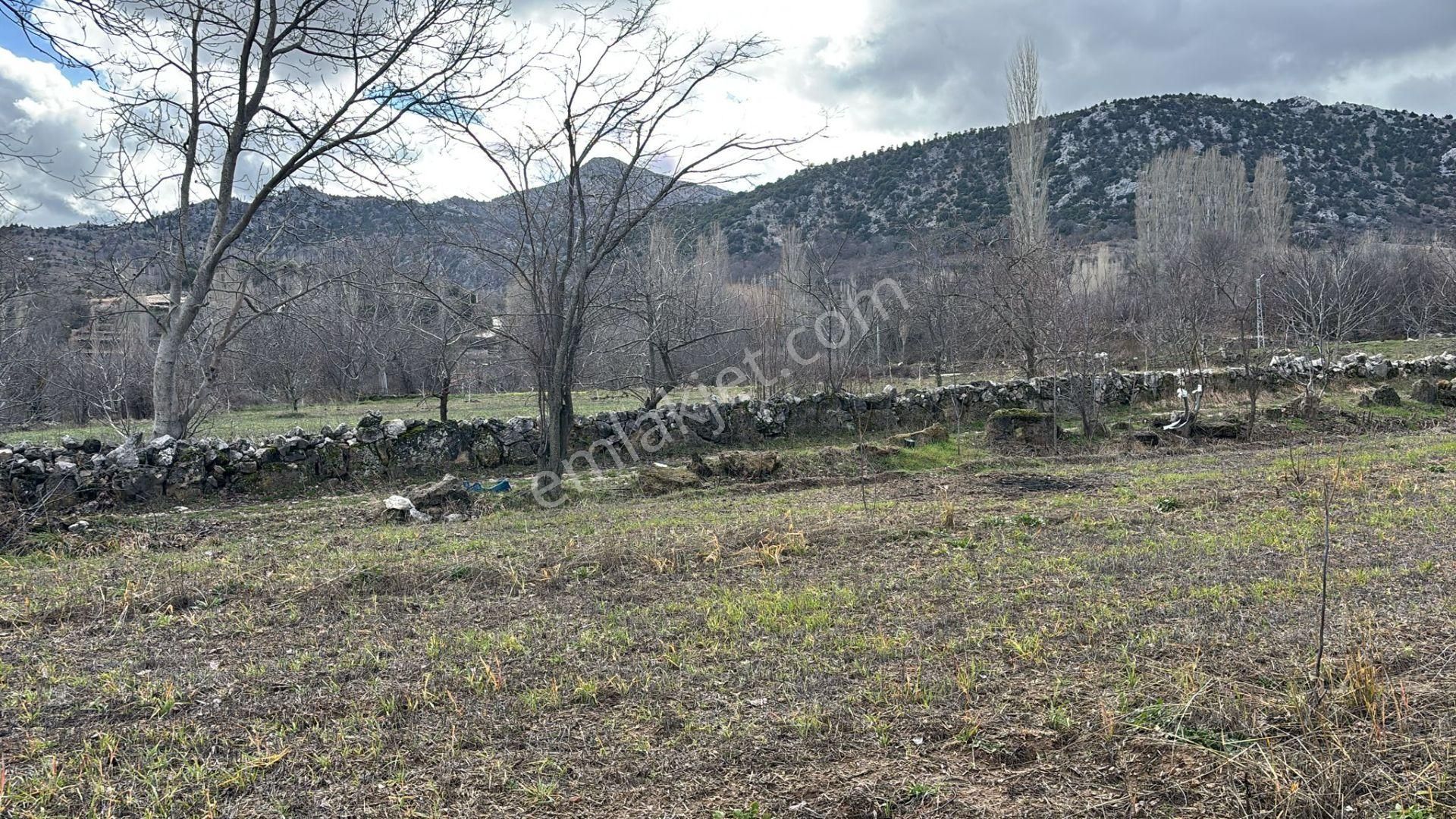 Yeşillikler Diyarı Ağlasun Yeşilbaşköyde Satılık Fırsat Tarla - Görsel 16
