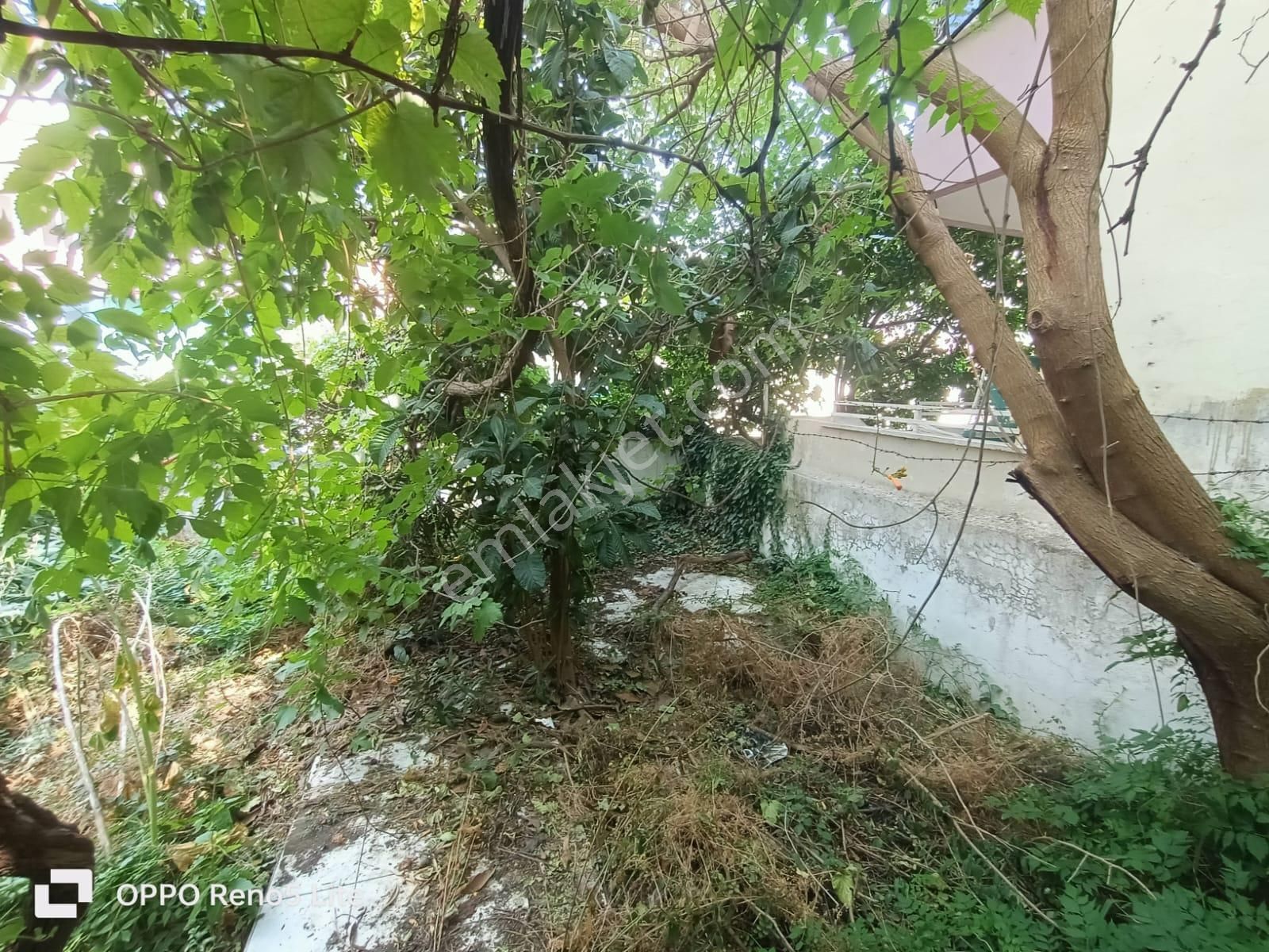 Edremit Akçay Güre Arasında Buse Emlaktan Satılık Müstakil Ev - Görsel 4