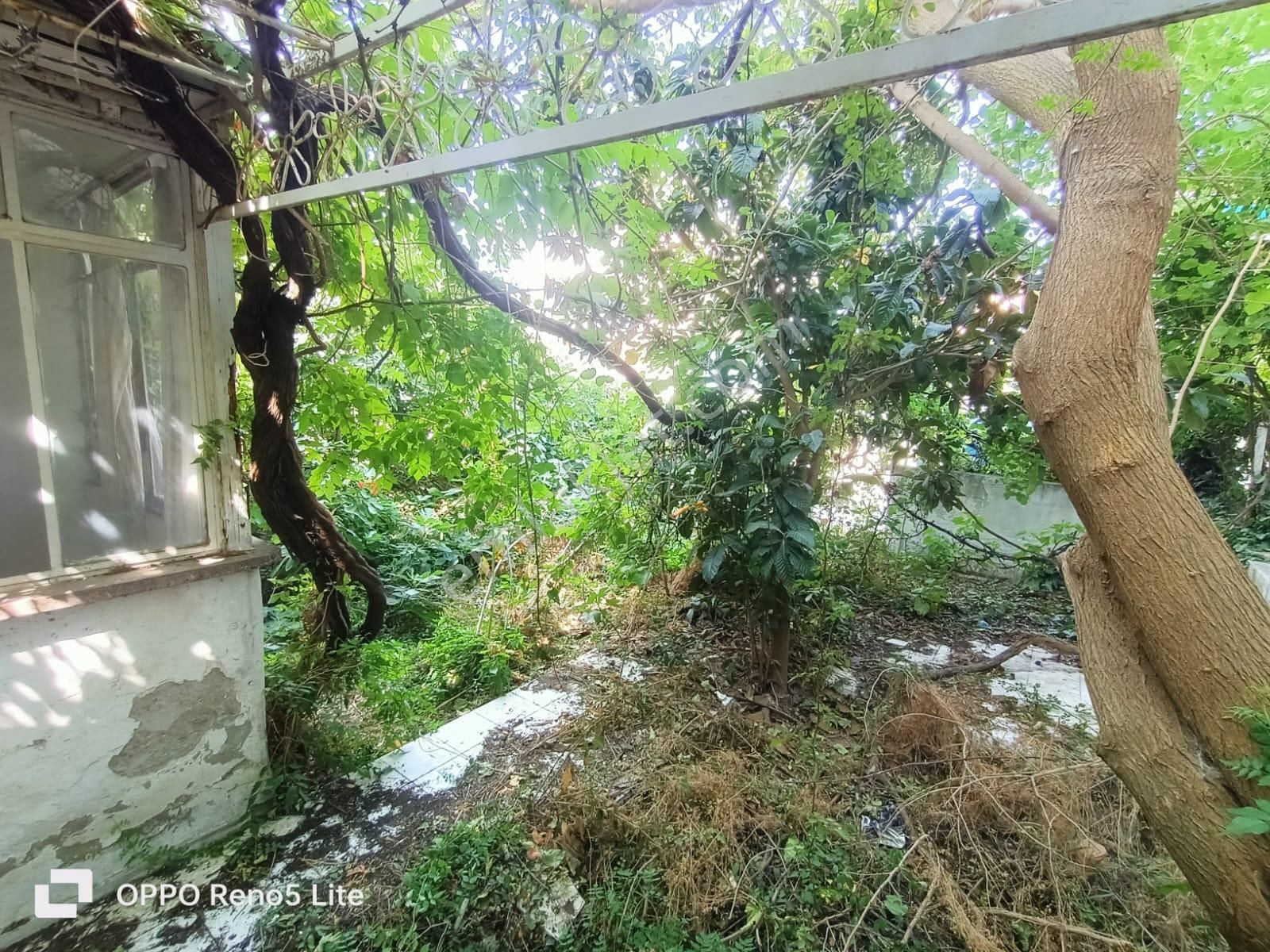 Edremit Akçay Güre Arasında Buse Emlaktan Satılık Müstakil Ev - Görsel 12