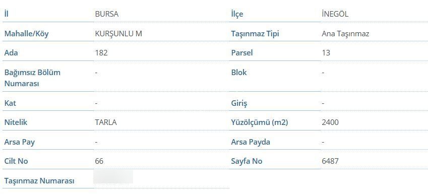 Kurşunluda-sıcak Suya Giden Yolda - Atatürk Caddesinde - 2400m2 - Görsel 3