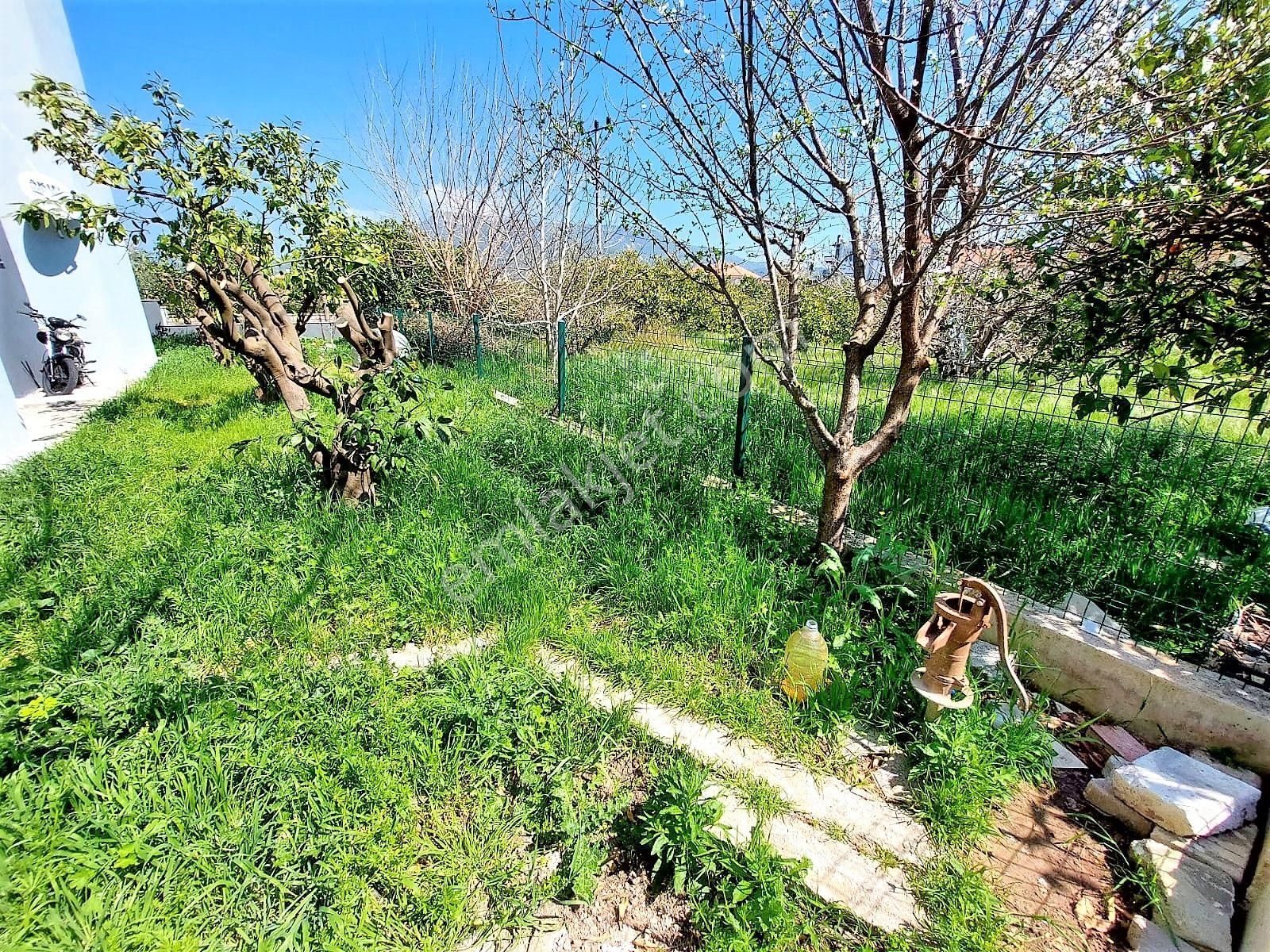 İzmi̇r Seferi̇hi̇sar Ürkmez De Satılık Bahçeli̇ Zemi̇n Kat Dai̇re 2+1 - Görsel 7