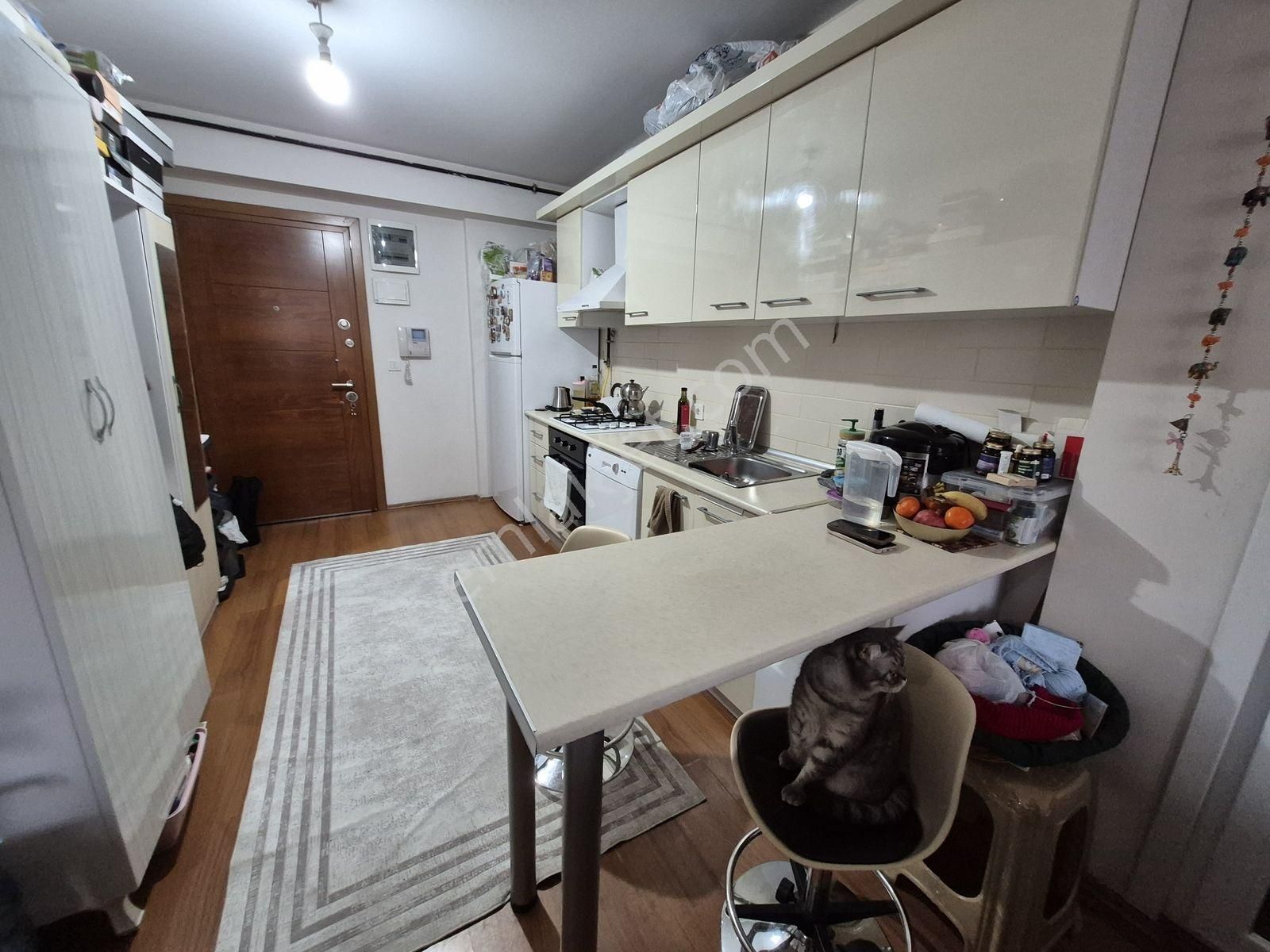 Beylikdüzü Mılpark Konutlarında Satılık 1+1 Daıre - Görsel 25