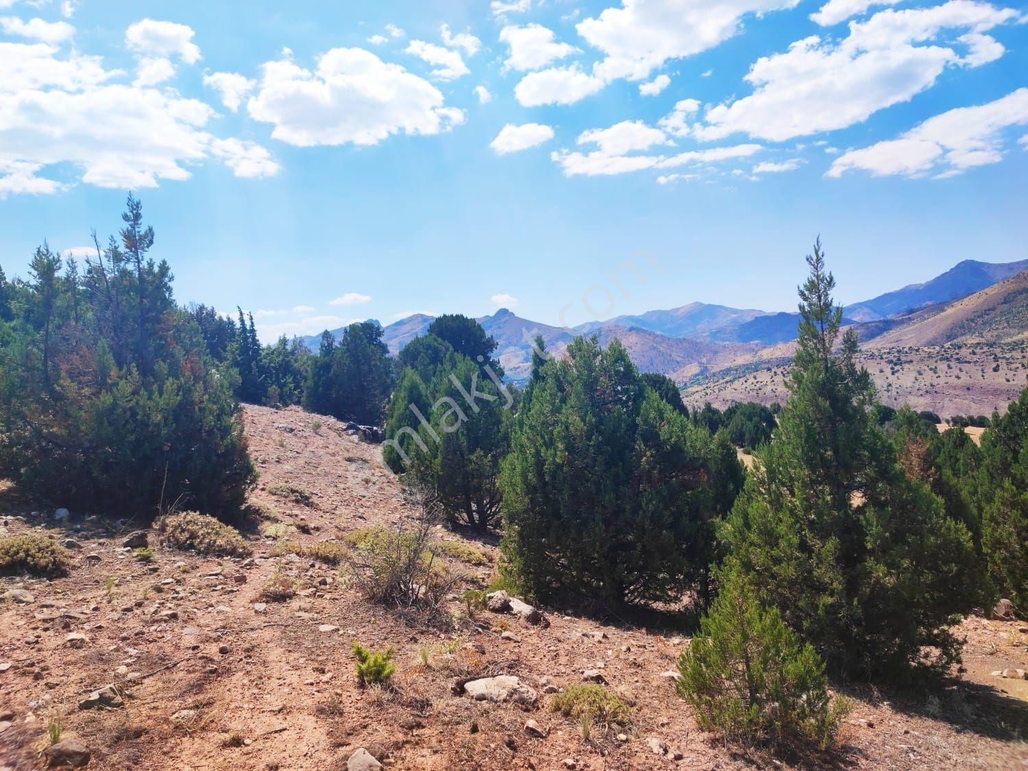 Pozantı Kar Emlak Tan Aşçıbekirli Fenese Mevkiinde Yaylalık - Görsel 12