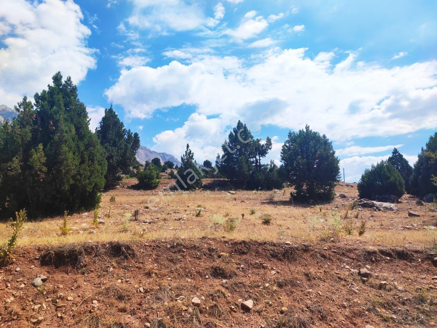 Pozantı Kar Emlak Tan Aşçıbekirli Fenese Mevkiinde Yaylalık - Görsel 8