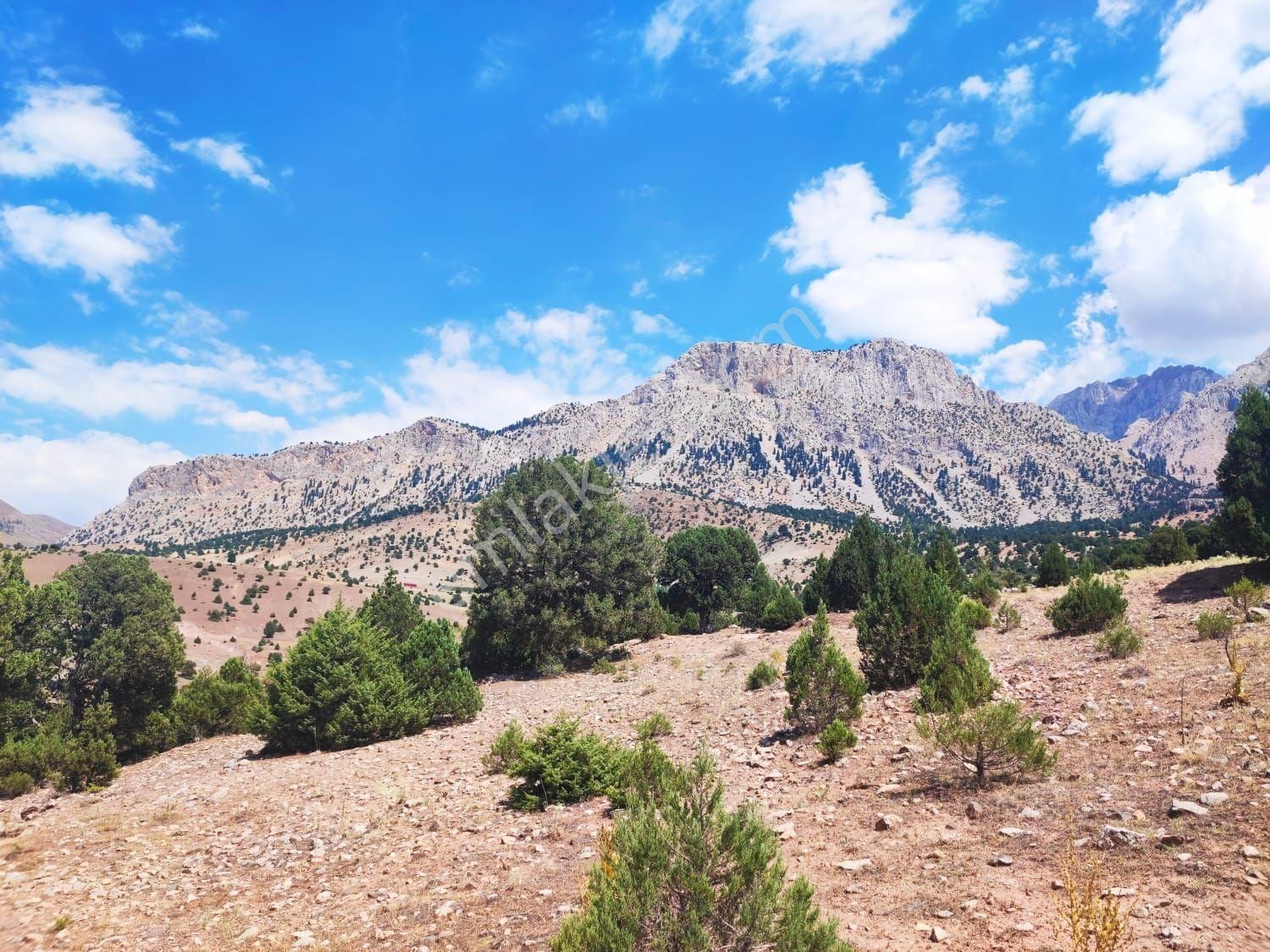 Pozantı Kar Emlak Tan Aşçıbekirli Fenese Mevkiinde Yaylalık - Görsel 33