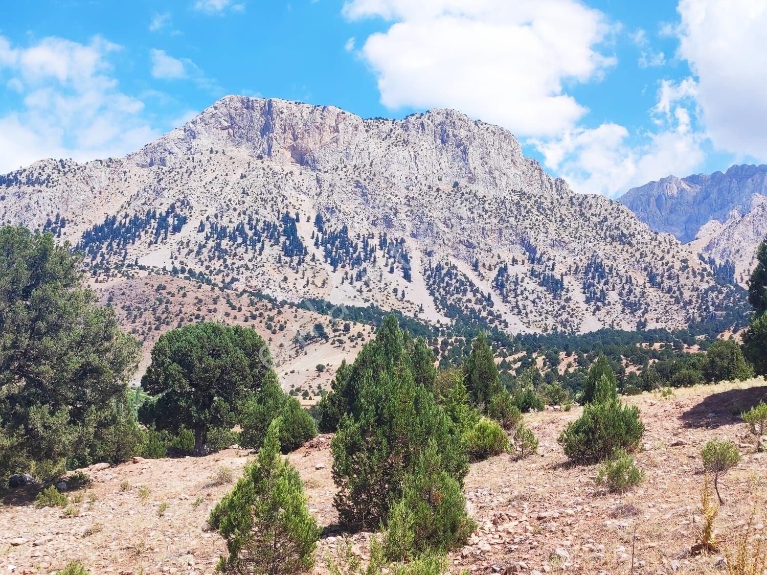 Pozantı Kar Emlak Tan Aşçıbekirli Fenese Mevkiinde Yaylalık - Görsel 23