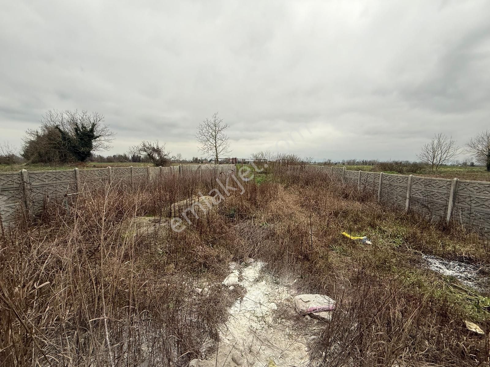 Adapazarında Fırsat 1800 M2 Kurulu Düzen Konteynerli - Görsel 28