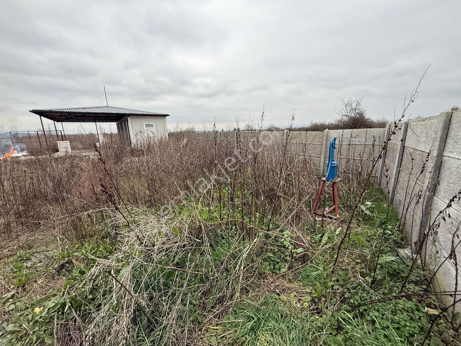 Adapazarında Fırsat 1800 M2 Kurulu Düzen Konteynerli - Görsel 32