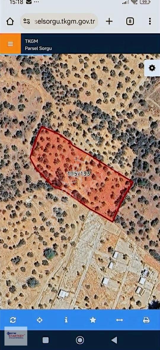 Torbalı Karakızlar' Da Müstakil Tapulu 5775 M2 Satılık Zeytinlik - Görsel 3