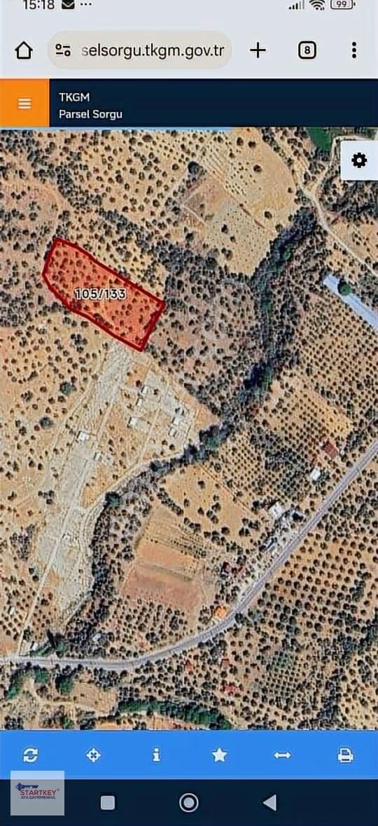 Torbalı Karakızlar' Da Müstakil Tapulu 5775 M2 Satılık Zeytinlik - Görsel 4