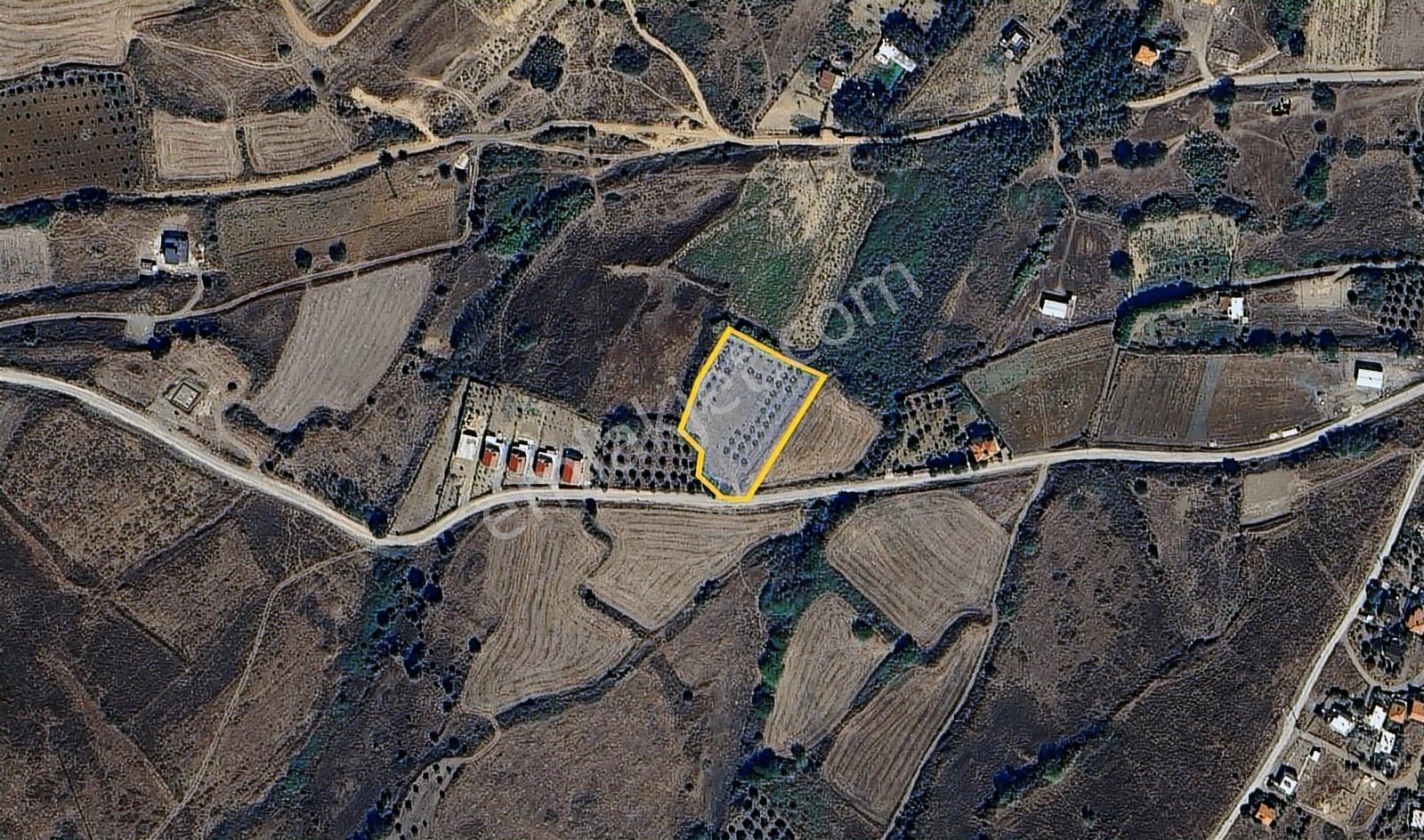 Poyrazlı Da 3.702 M2 Asfalt Yola Cephe Satılık Tarla - Görsel 9