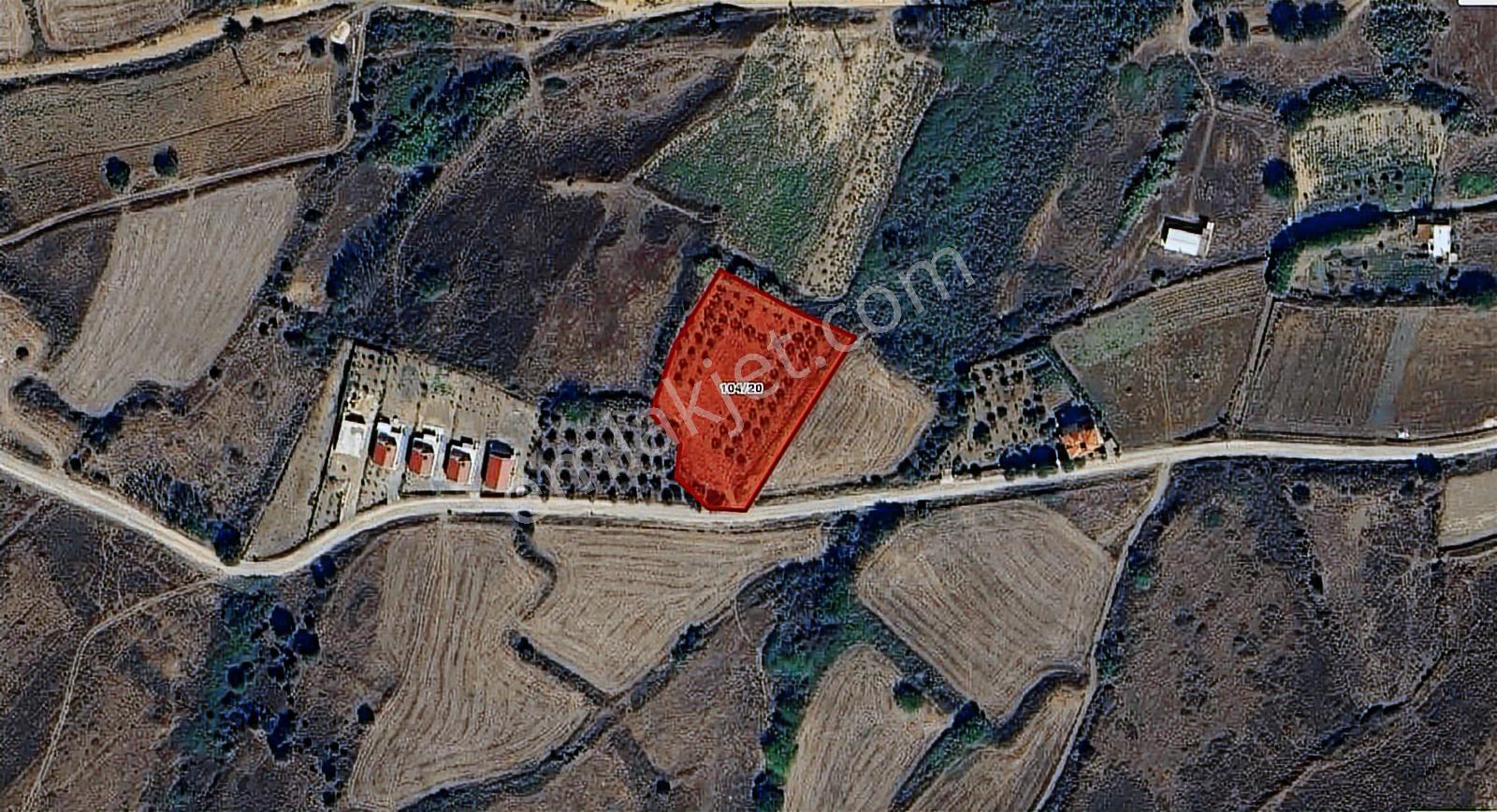 Poyrazlı Da 3.702 M2 Asfalt Yola Cephe Satılık Tarla - Görsel 6