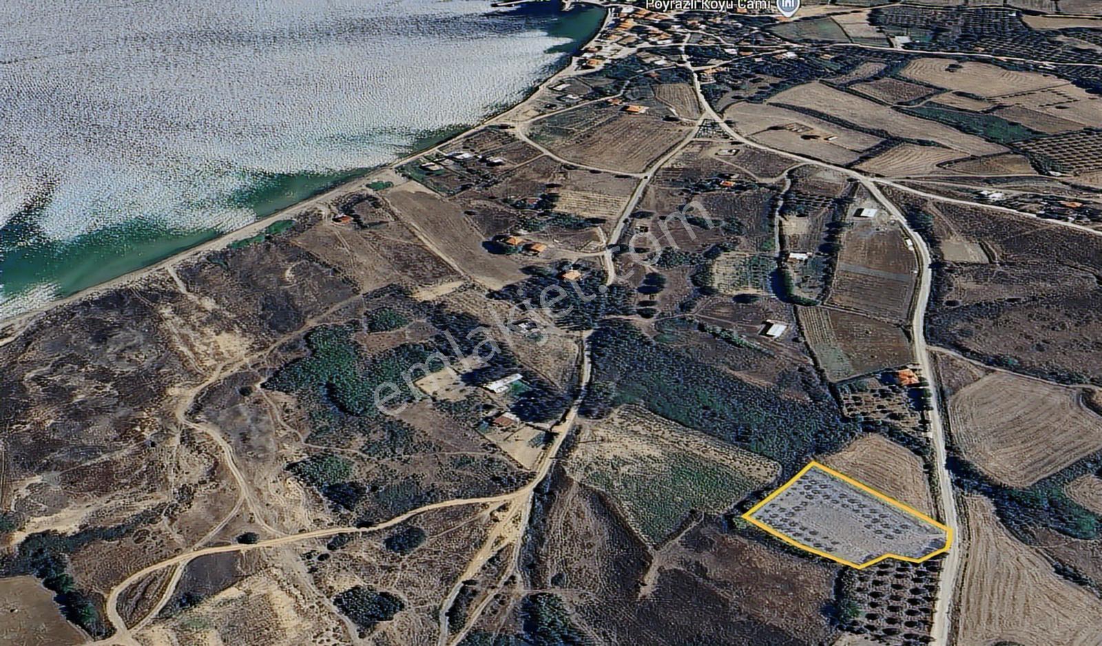Poyrazlı Da 3.702 M2 Asfalt Yola Cephe Satılık Tarla - Görsel 4