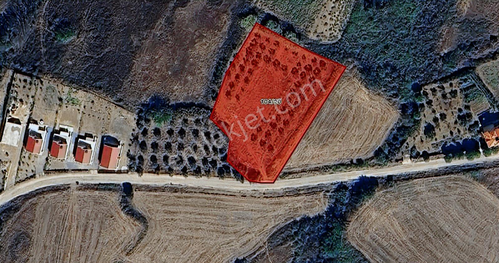 Poyrazlı Da 3.702 M2 Asfalt Yola Cephe Satılık Tarla