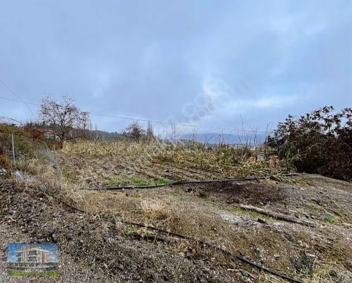 Korkuteli Güzle Yaylası Yazlık Tek Tapu Parsel Sarıağaç Satılık - Görsel 3