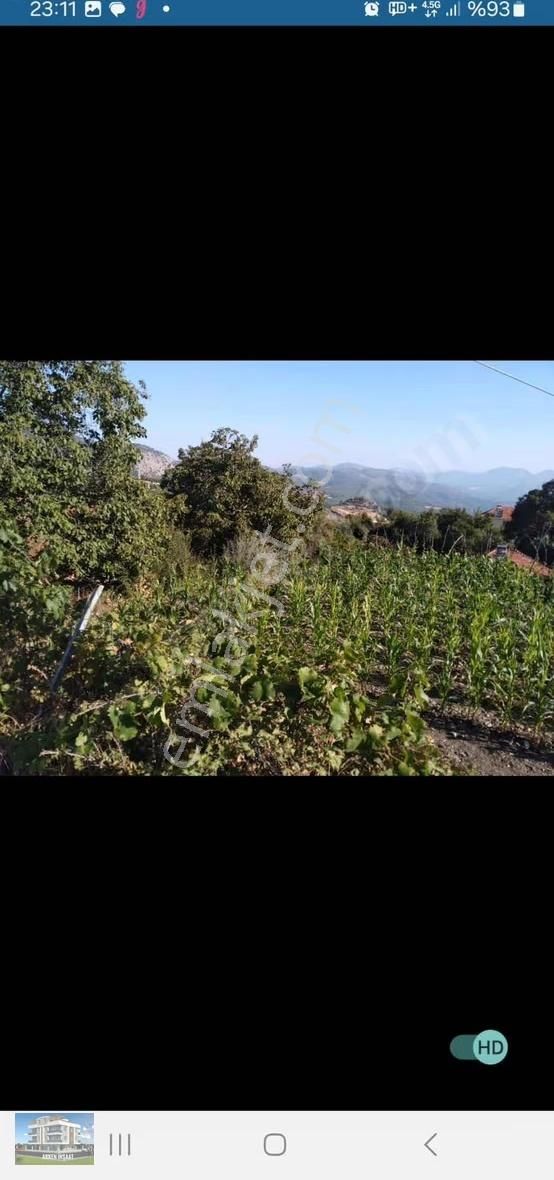 Korkuteli Güzle Yaylası Yazlık Tek Tapu Parsel Sarıağaç Satılık - Görsel 4