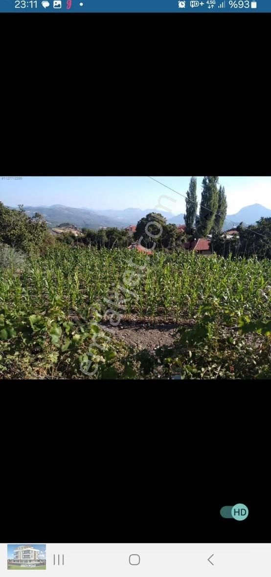 Korkuteli Güzle Yaylası Yazlık Tek Tapu Parsel Sarıağaç Satılık - Görsel 11