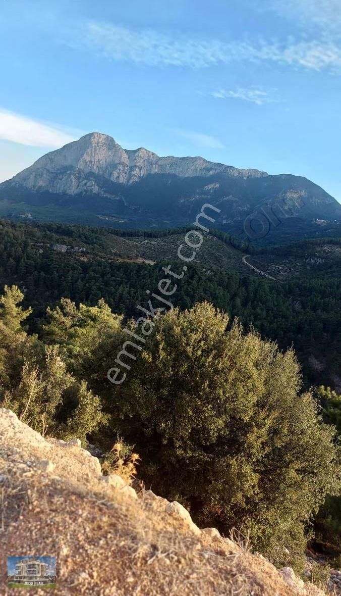 Korkuteli Güzle Yaylası Yazlık Tek Tapu Parsel Sultanlı Satılık - Görsel 3