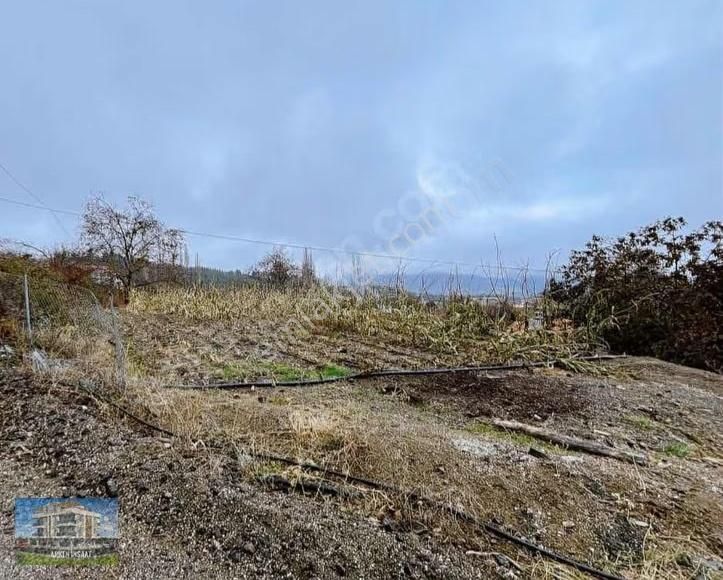 Korkuteli Güzle Yaylası Yazlık Tek Tapu Parsel Sarıağaç Satılık - Görsel 6