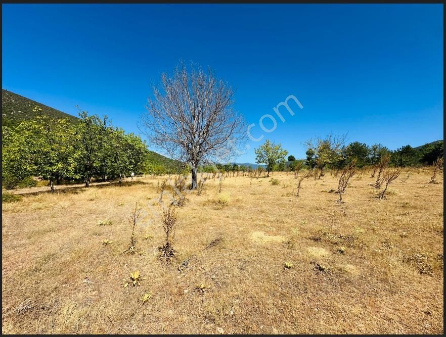 Bursa Keles Kıranışıklar Köyüne Bağlı 1942 M2 Satılık Arazi - Görsel 3