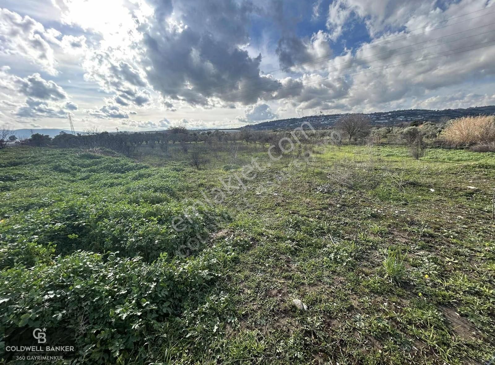 Torbalı-kemalpaşa Yolunda Satılık Tek Parsel 5960 M2 Tarla - Görsel 4