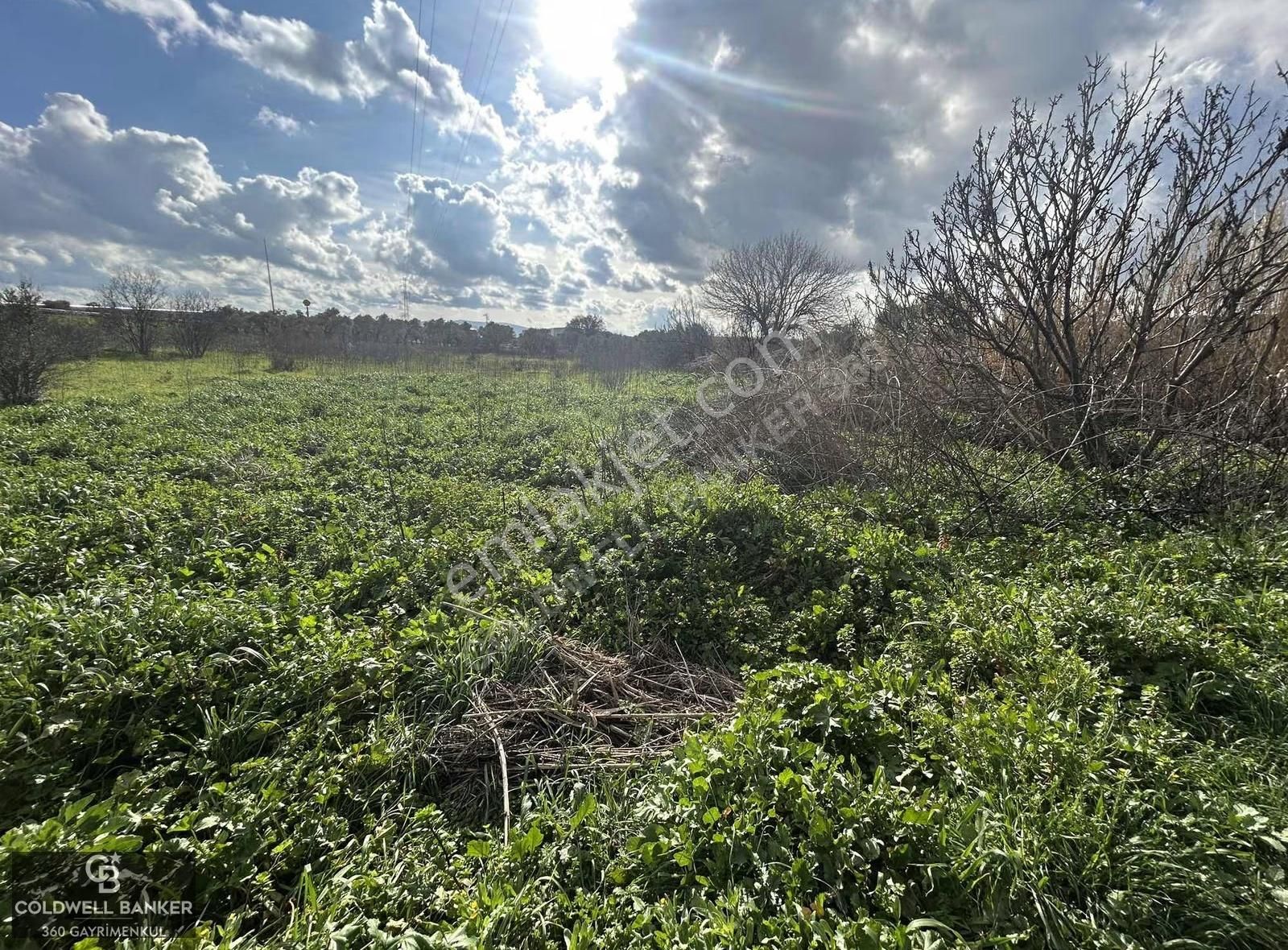 Torbalı-kemalpaşa Yolunda Satılık Tek Parsel 5960 M2 Tarla - Görsel 11